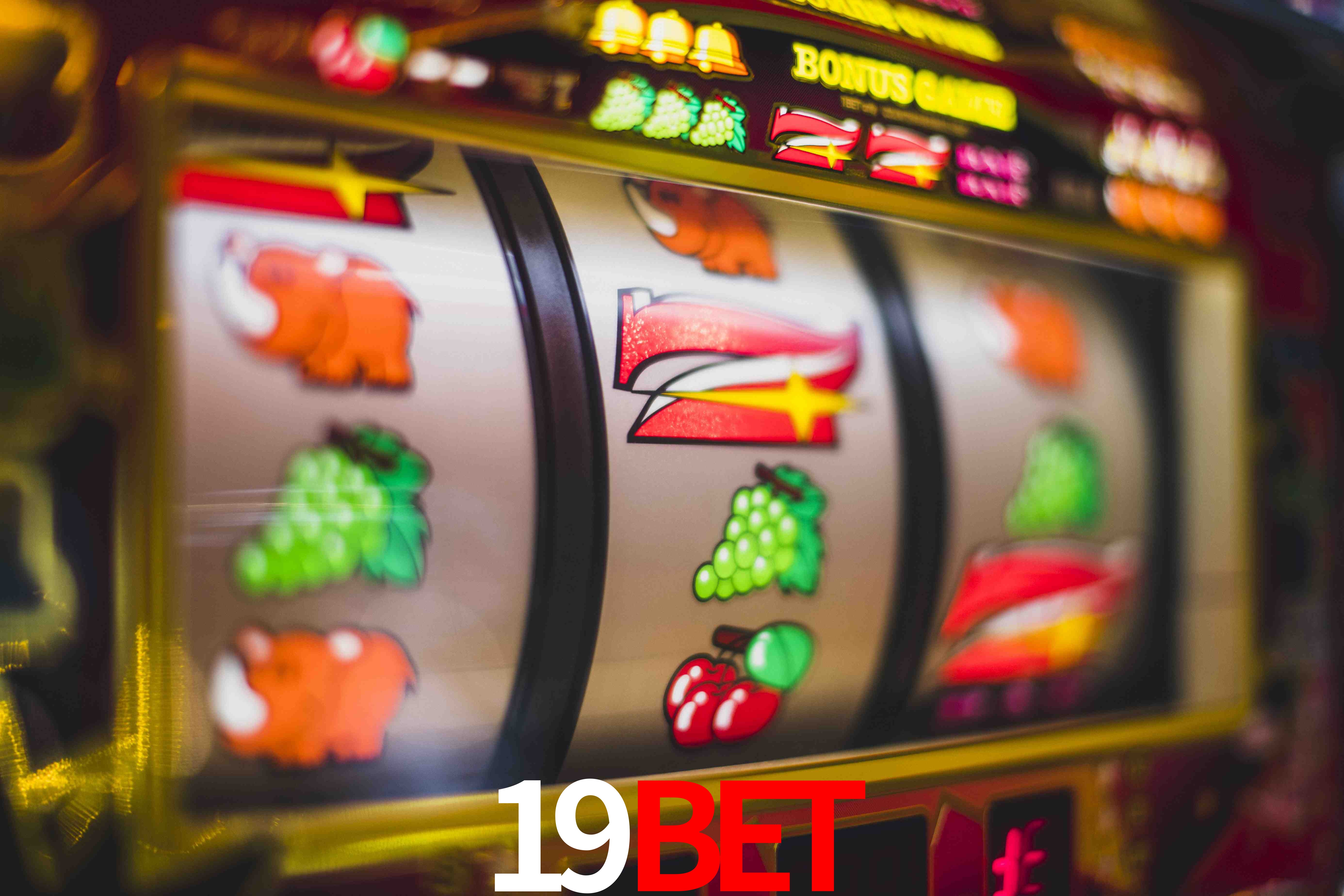 Crash Games Statistics 19BET